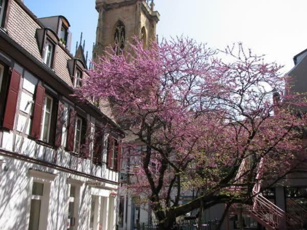 Chez Pauline Apartment Colmar Luaran gambar