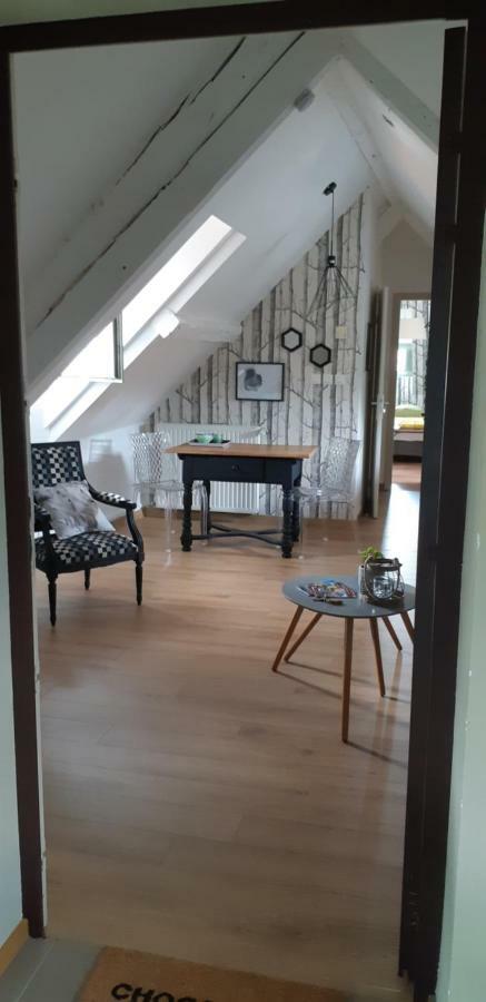 Chez Pauline Apartment Colmar Luaran gambar