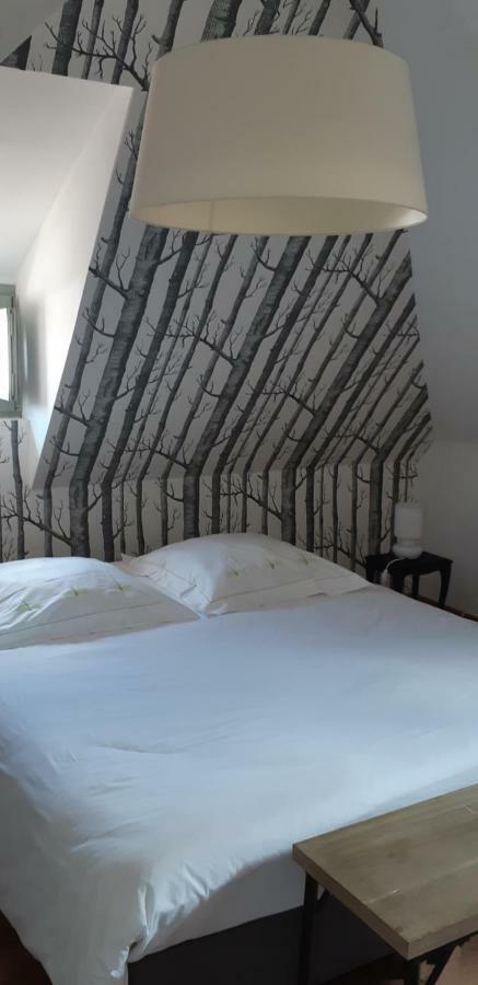 Chez Pauline Apartment Colmar Luaran gambar