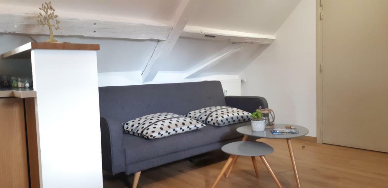 Chez Pauline Apartment Colmar Luaran gambar