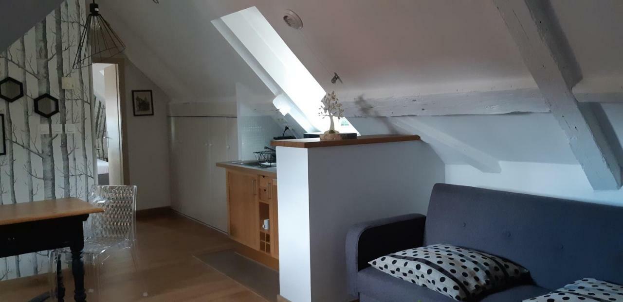 Chez Pauline Apartment Colmar Luaran gambar