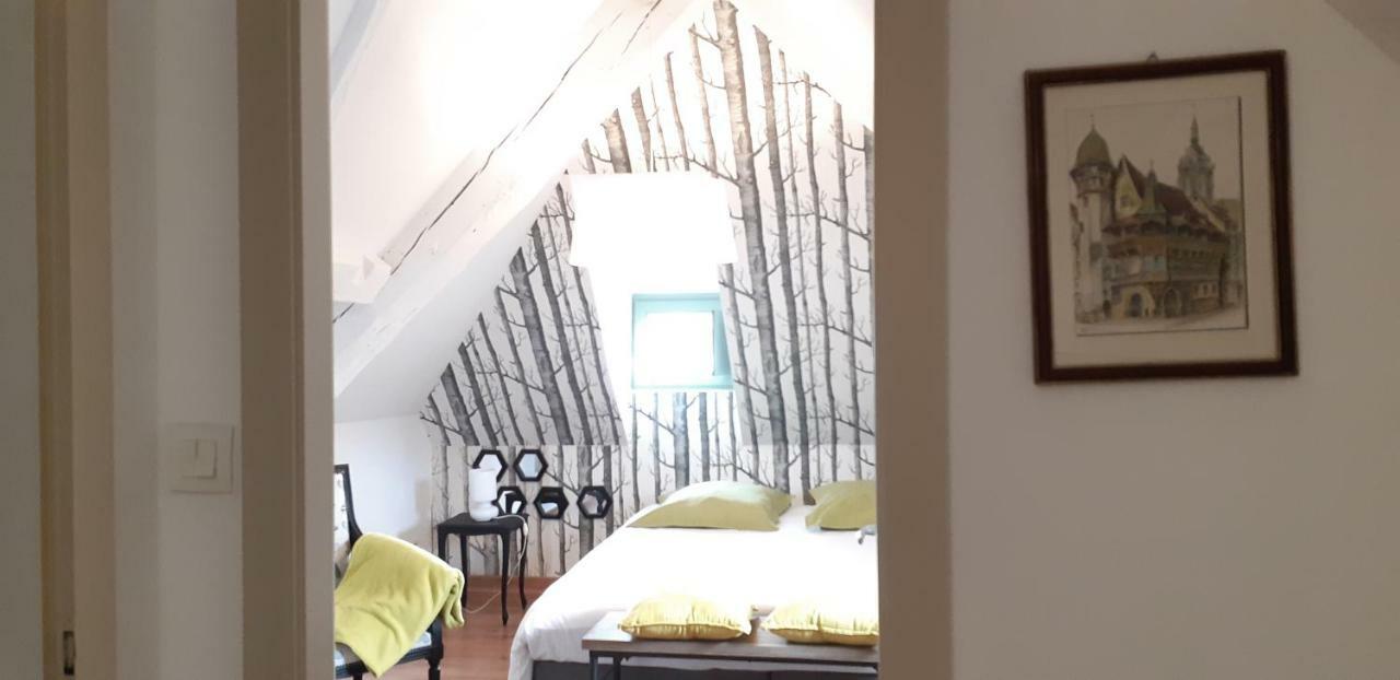 Chez Pauline Apartment Colmar Luaran gambar